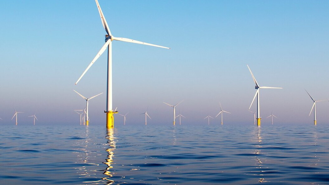 Wind farm offshore