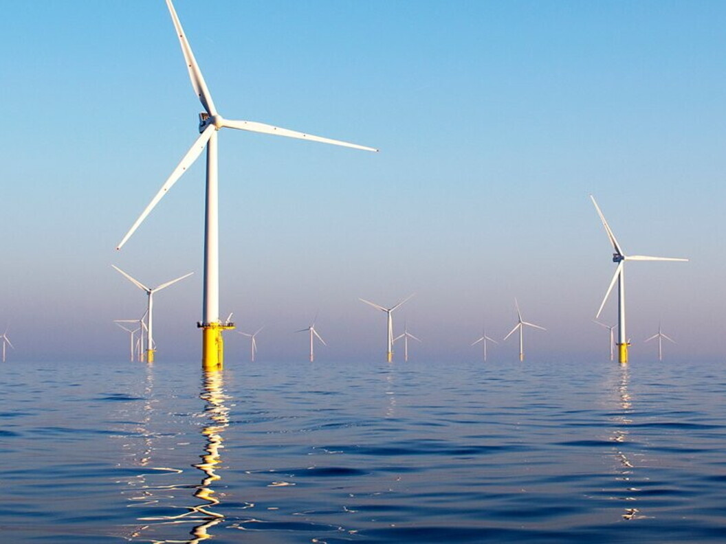 Wind farm offshore
