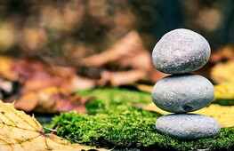 L’equilibrio meccanico