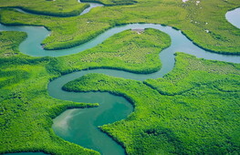 Ambiente ed ecosistemi