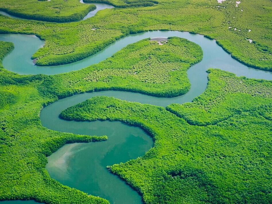 Ambiente ed ecosistemi