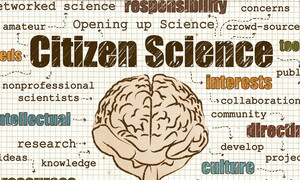 Citizen science, quando la ricerca è fatta dai cittadini