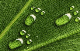 L’impronta ecologica