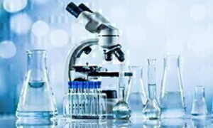 Fotosintesi in azione azione