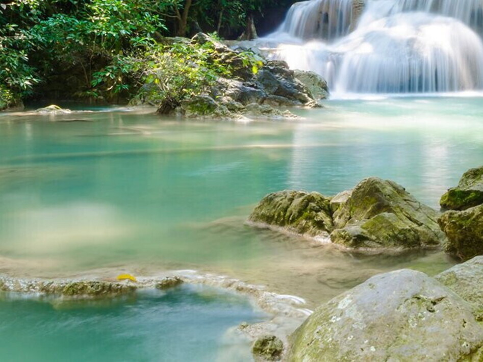 Il bioma foresta tropicale