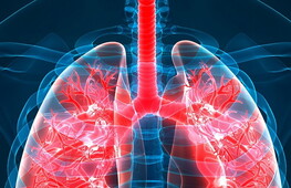 L’apparato respiratorio