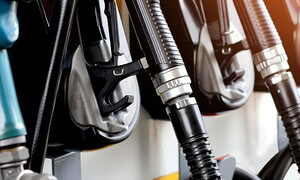 La vita oltre la plastica