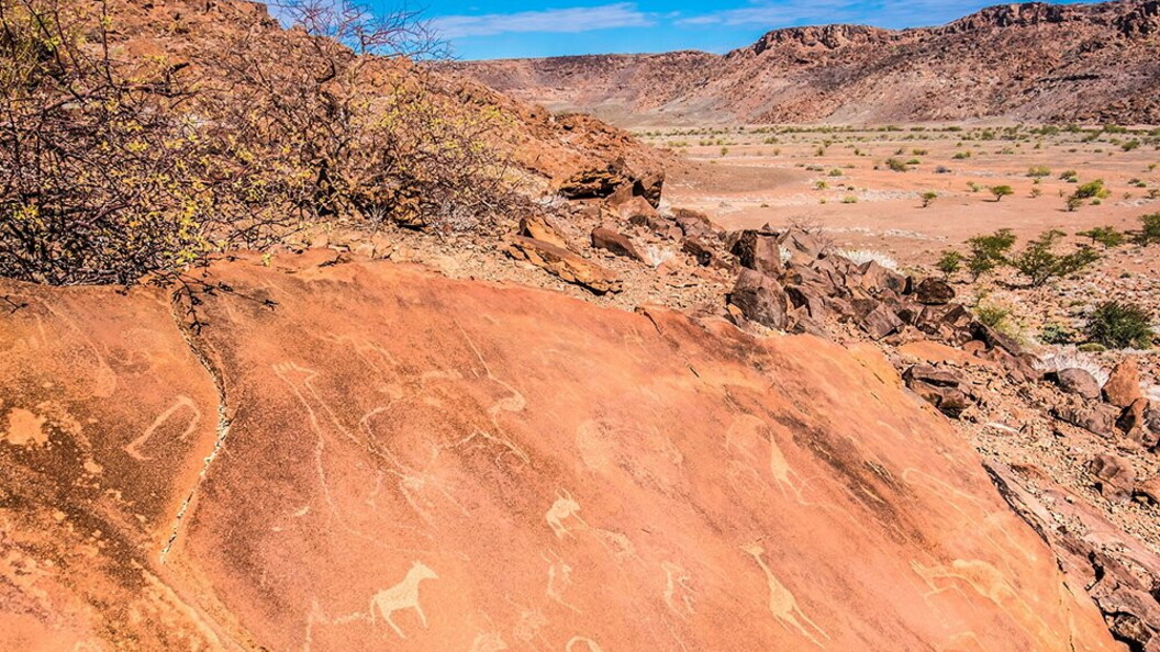 Incisioni rupestri in Namibia