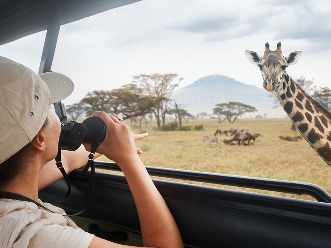 Safari fotografico