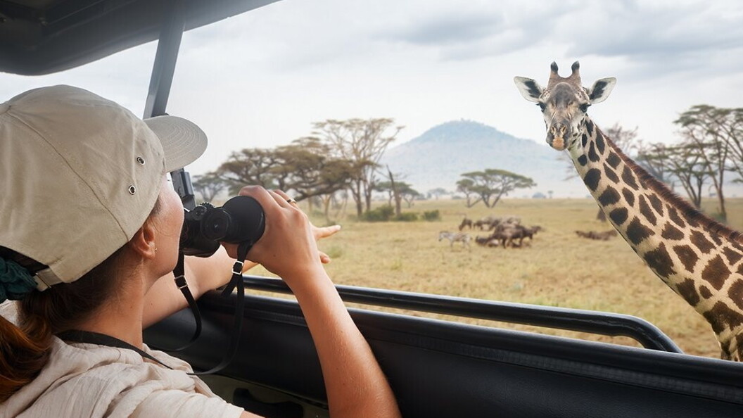 Safari fotografico