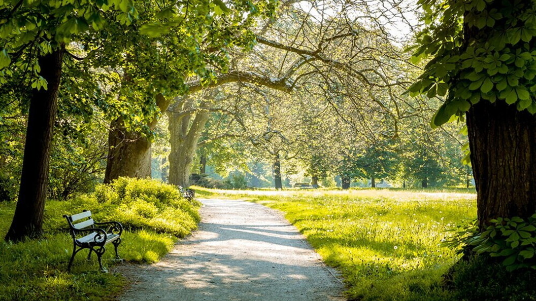 Parco cittadino