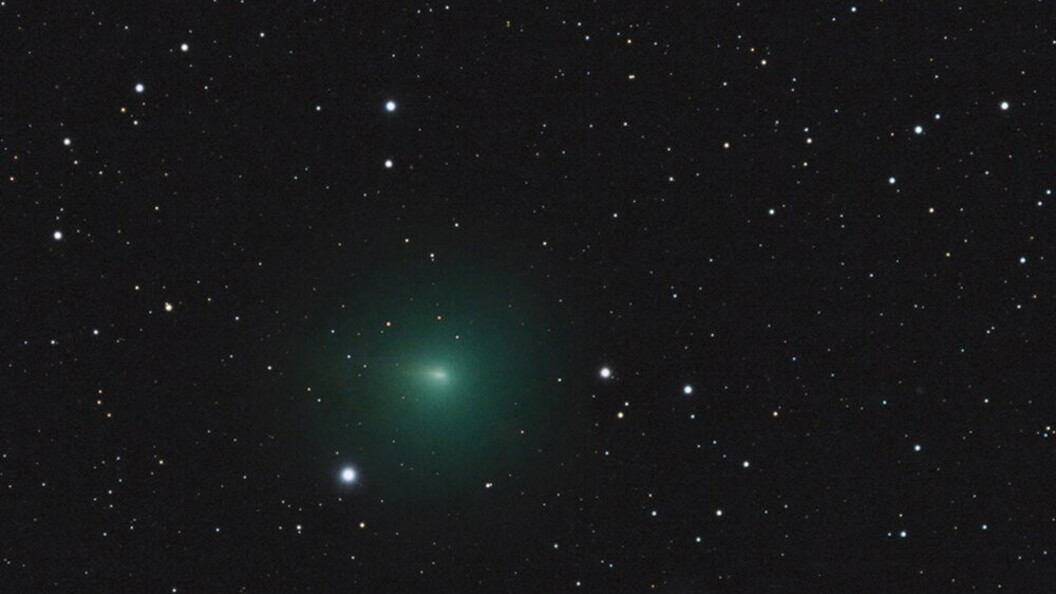 Cometa Giacobini-Zinner