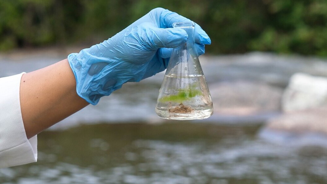 Monitoraggio dell’acqua