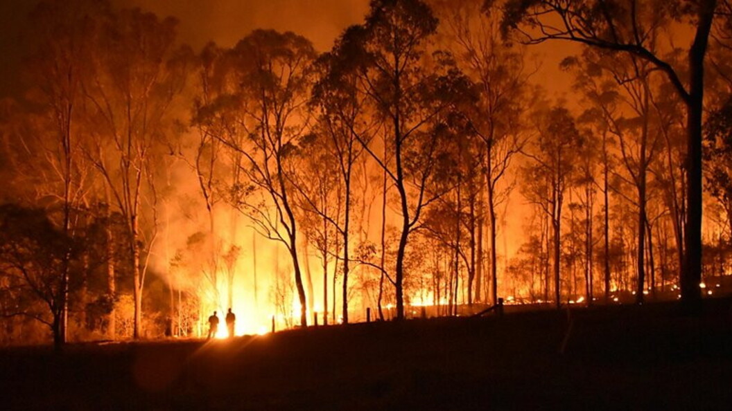 Incendi boschivi