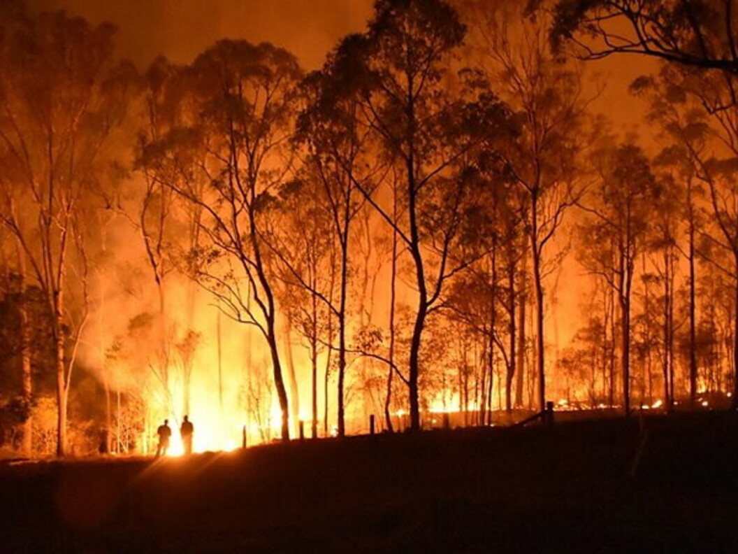 Incendi boschivi