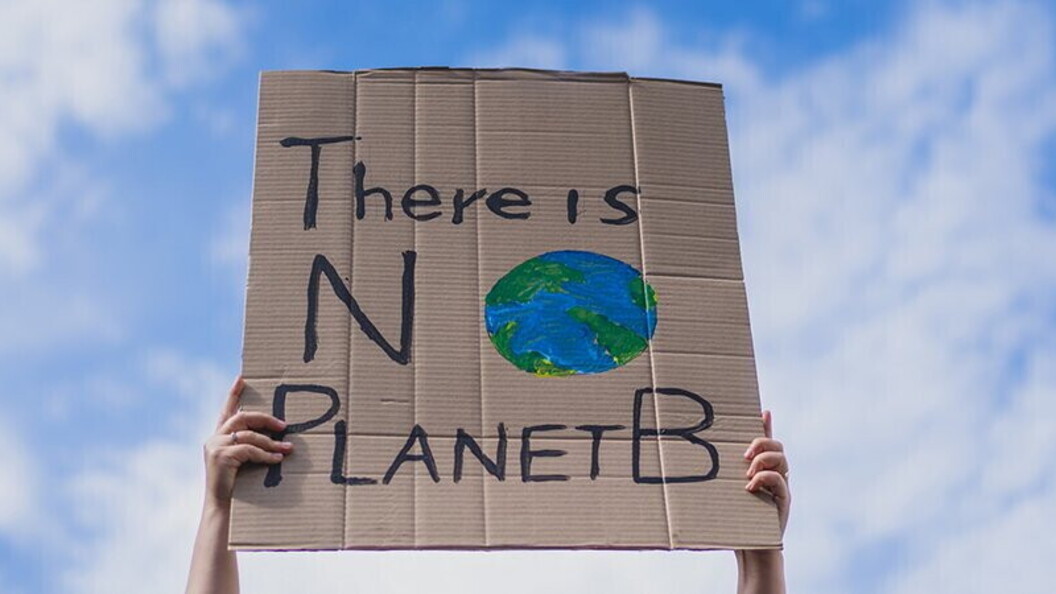 Manifestazioni pro-clima
