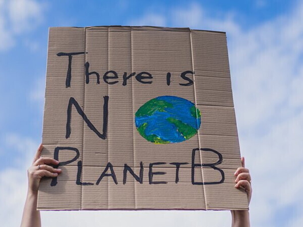 Manifestazioni pro-clima