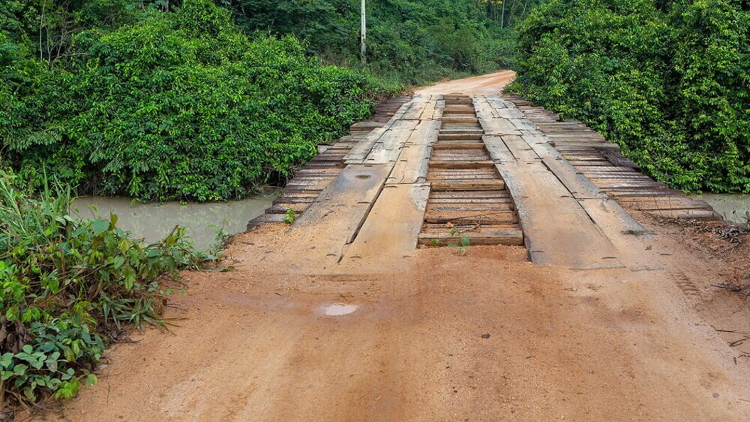 Strada tra gli alberi