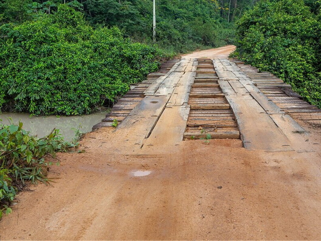 Strada tra gli alberi