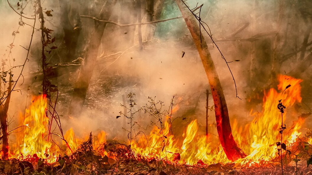 Incendio in Amazzonia