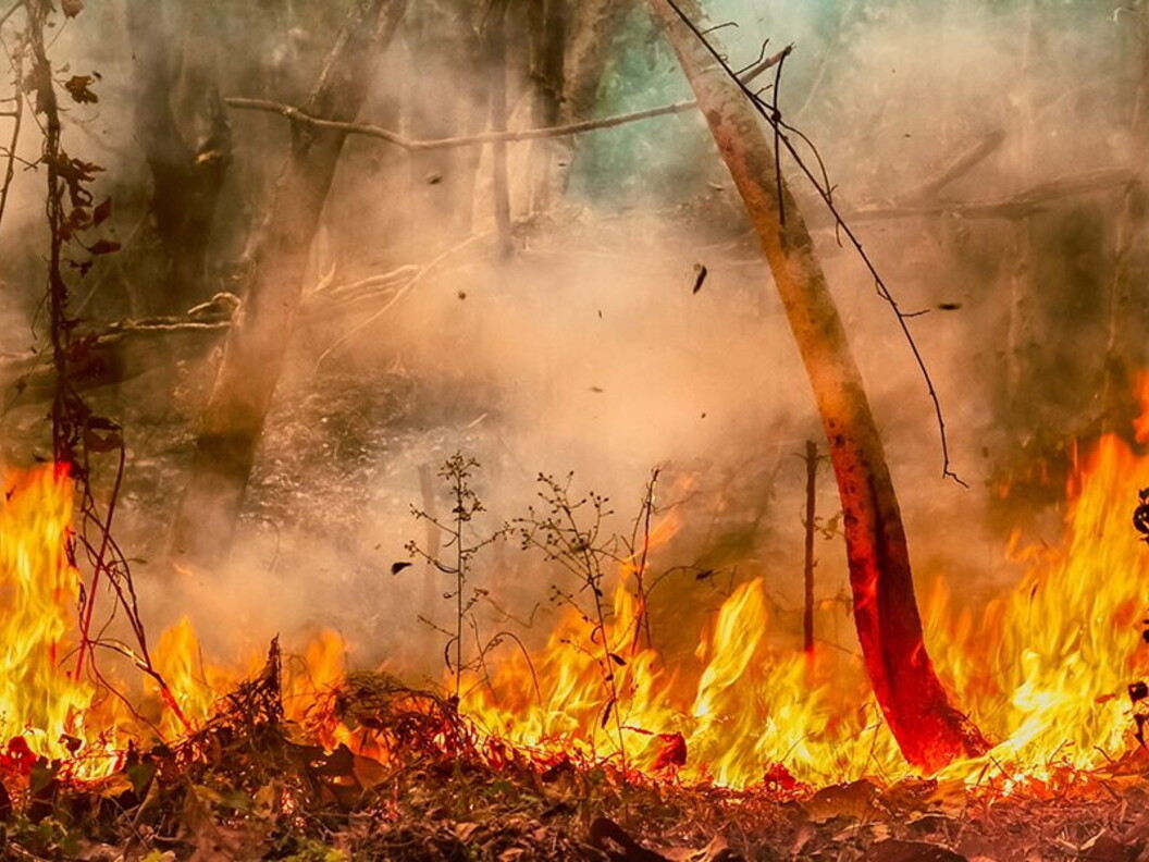 Incendio in Amazzonia