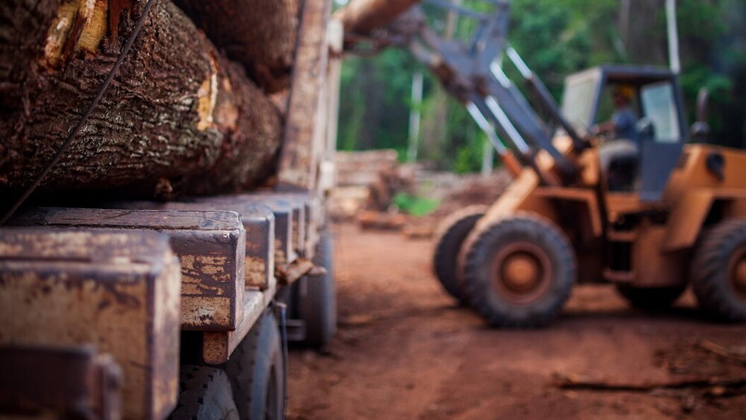 Trasporto di legname