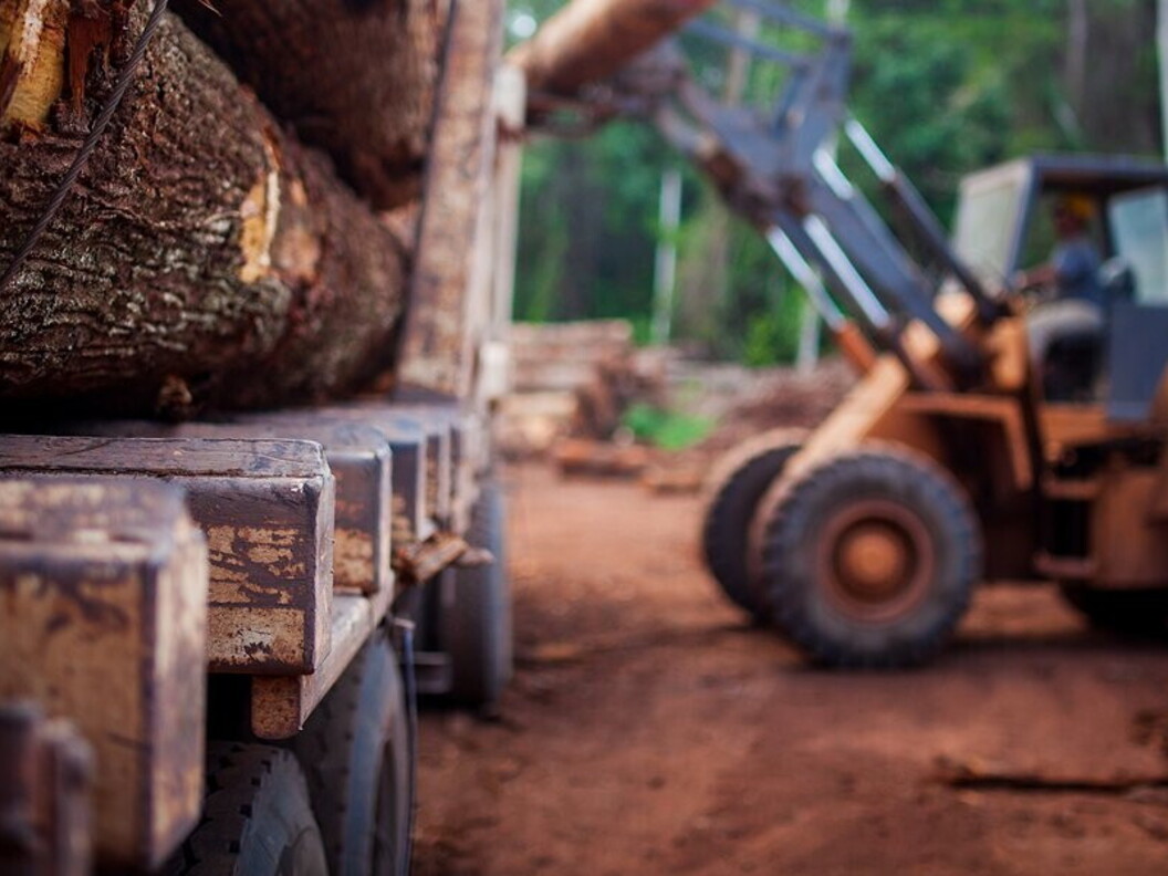 Trasporto di legname