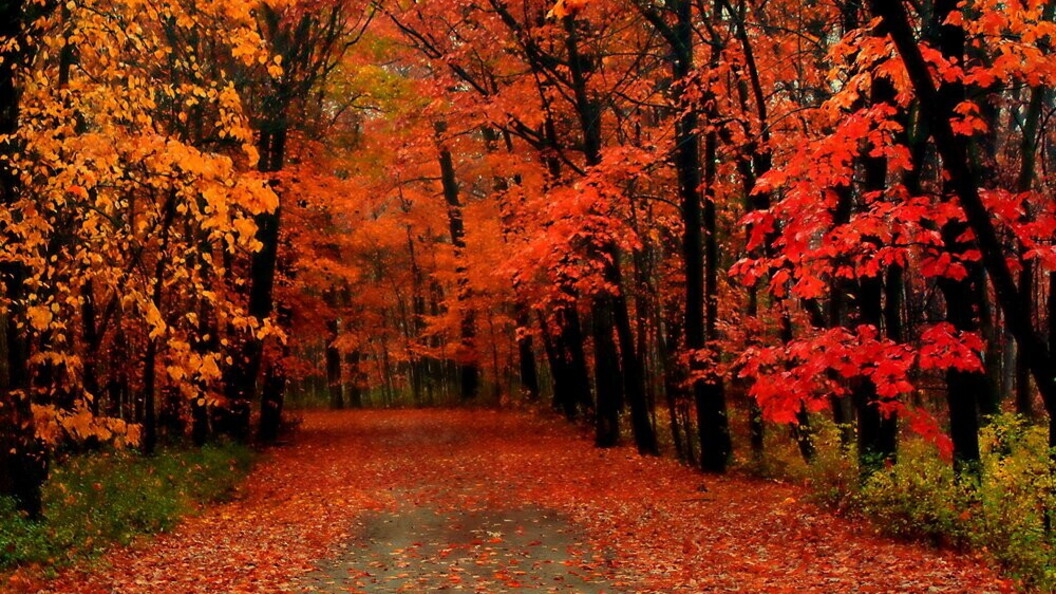 Paesaggio autunnale