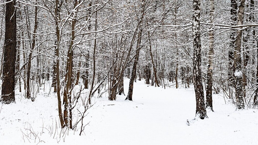 Paesaggio invernale