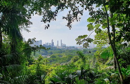 Minacce alla biodiversità