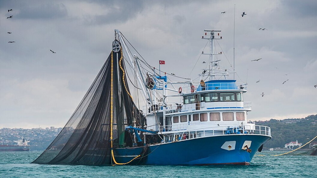 Pesca eccessiva