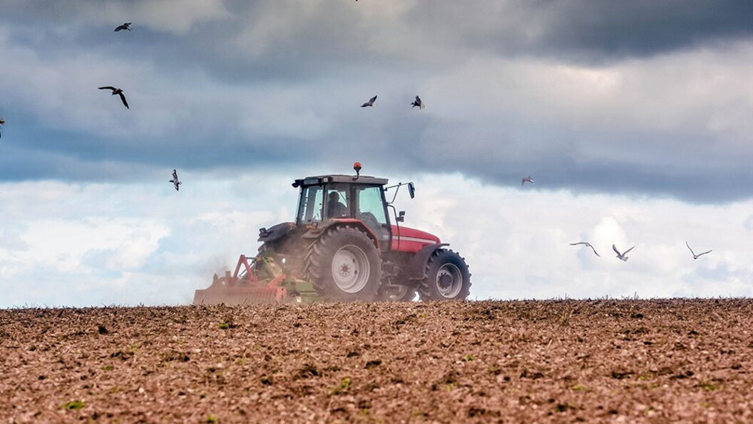 Agricoltura intensiva