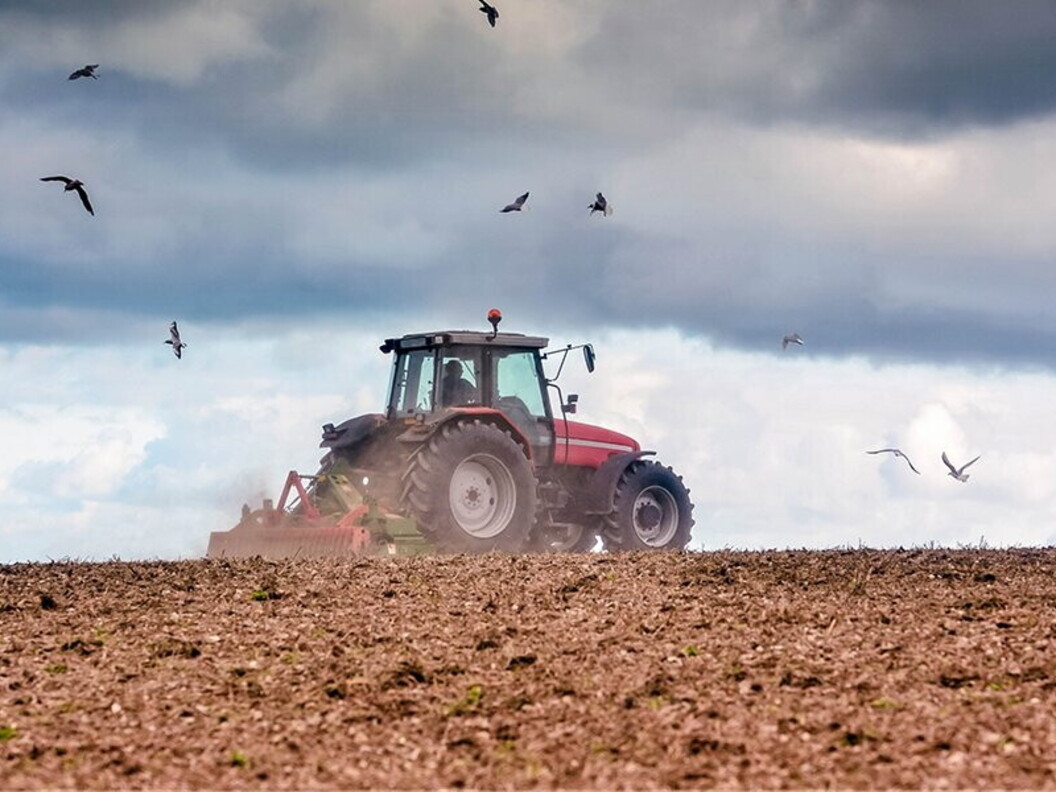 Agricoltura intensiva