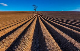 Soil and human activities 