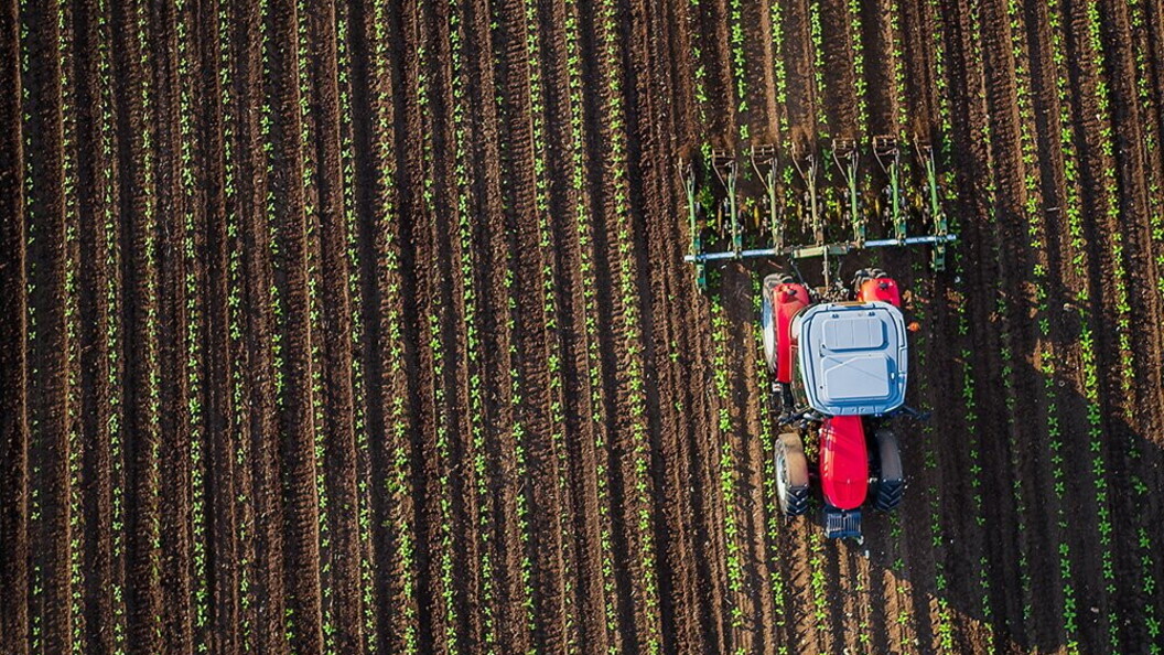 Agricoltura