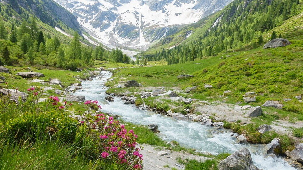 Torrente alimentato da un ghiacciaio