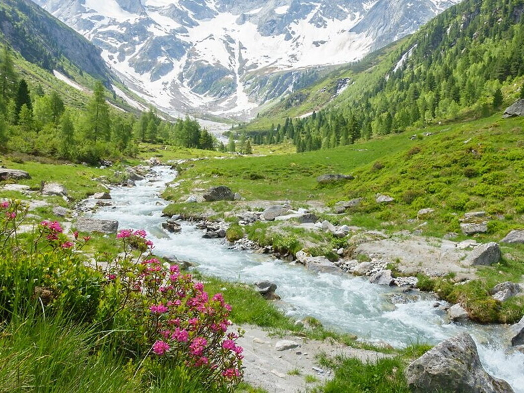 Torrente alimentato da un ghiacciaio