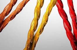 La palestra delle idee