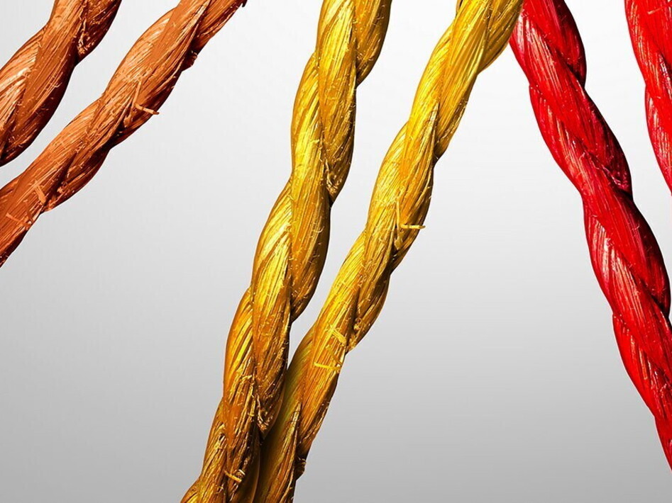 La palestra delle idee