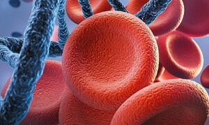 Il pulsante on/off del sistema immunitario