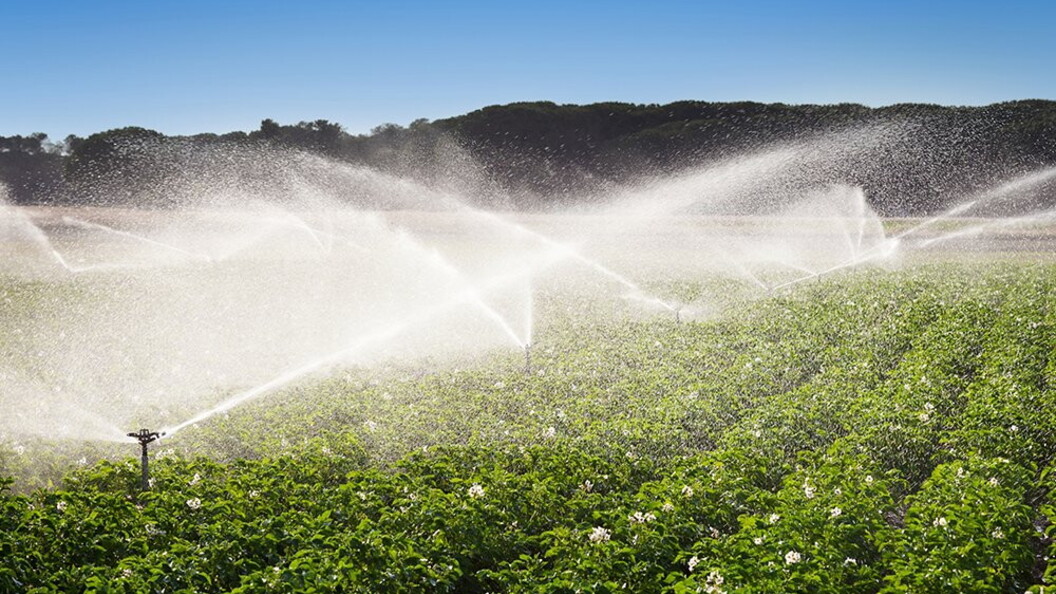 Irrigazione