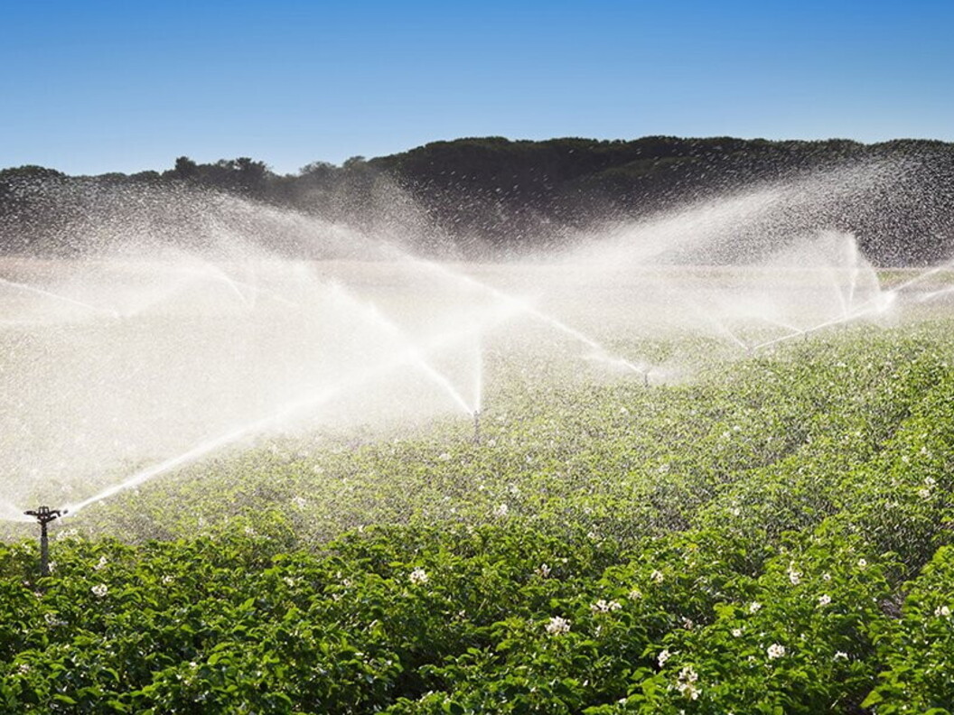 Irrigazione