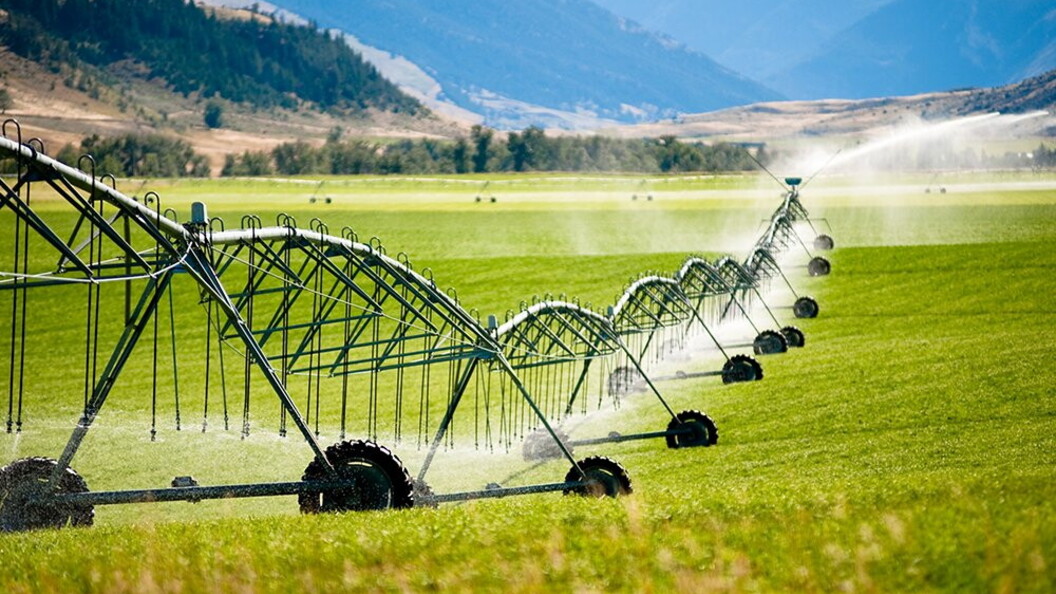 Irrigazione