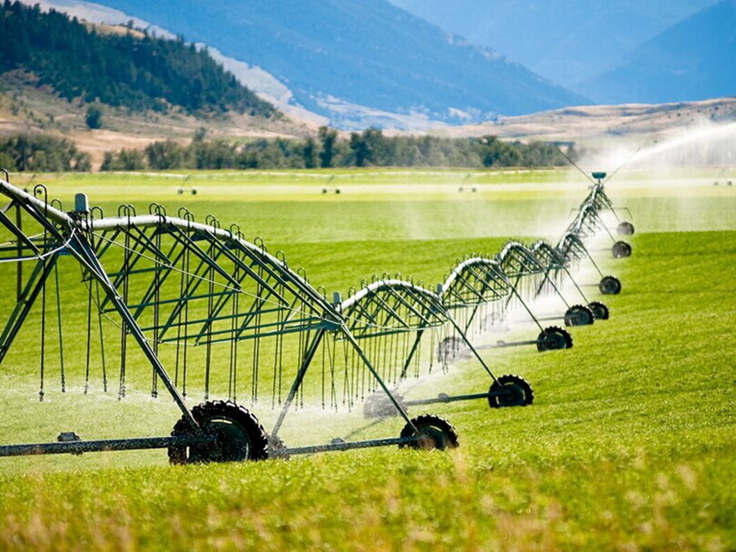 Irrigazione
