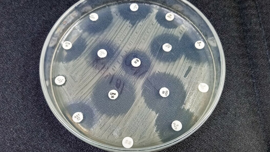 Test antibiotici