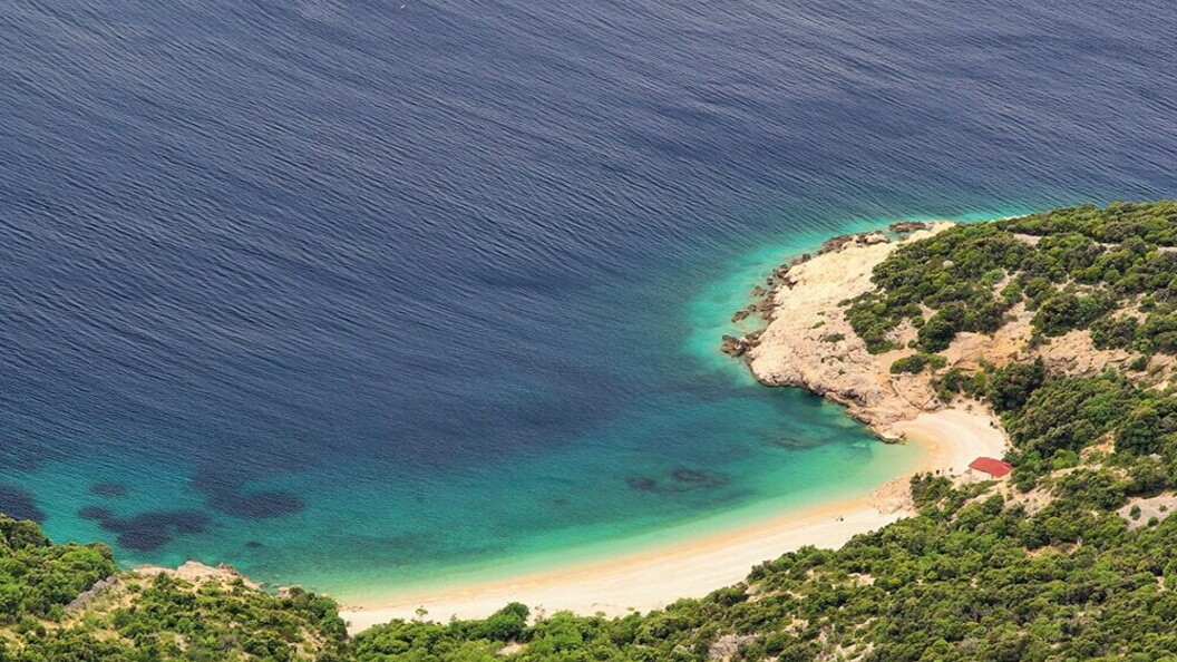 Macchia mediterranea
