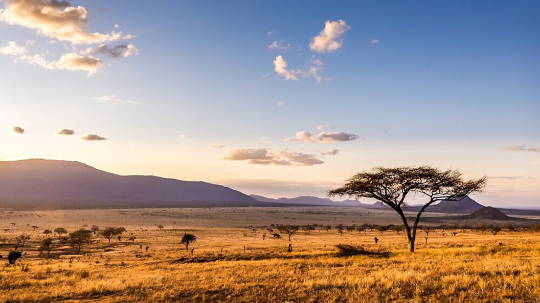Savana