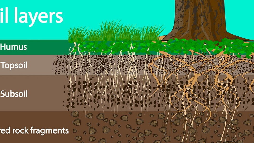 Gli strati del suolo