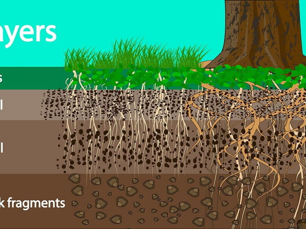 Gli strati del suolo