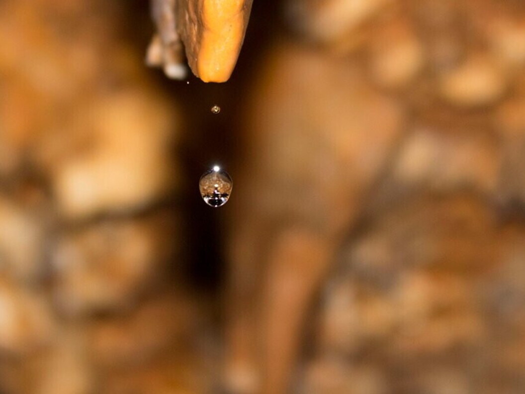 Stalattite in crescita